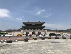 IMG_2368.jpg