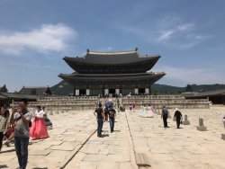 IMG_2374.jpg