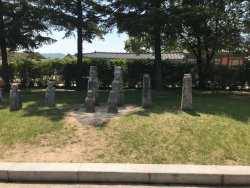 IMG_2416.jpeg