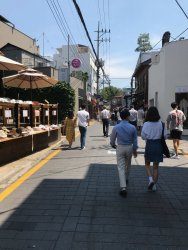 IMG_2418.jpeg