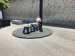 IMG_2417.jpg