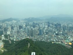 IMG_2498.jpeg