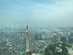 IMG_2500.jpeg