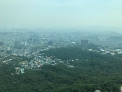 IMG_2503.jpeg