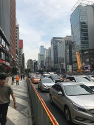 IMG_2515.jpeg