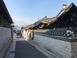 IMG_2528.jpeg