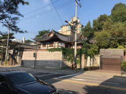 IMG_2532.jpeg