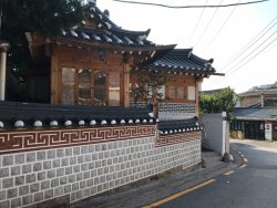 IMG_2533.jpeg
