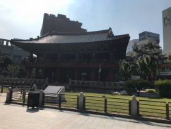IMG_2540.jpeg