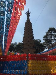 IMG_2546.jpeg