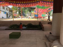 IMG_2549.jpeg