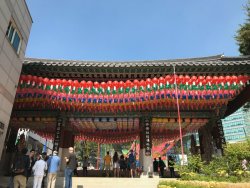 IMG_2550.jpeg