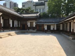 IMG_2556.jpeg