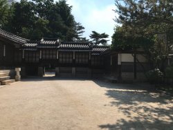 IMG_2557.jpeg