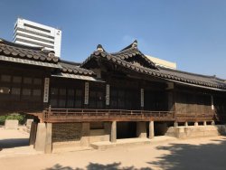 IMG_2558.jpeg