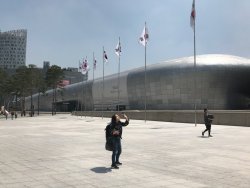 IMG_2616.jpeg