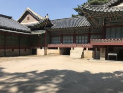 IMG_2591.jpg