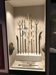 IMG_2626.jpeg