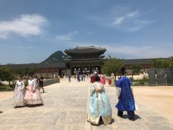 IMG_2373.jpeg
