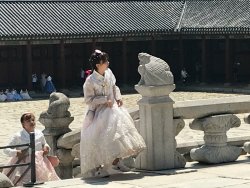 IMG_2380.jpeg