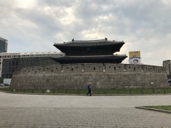 IMG_2517.jpeg
