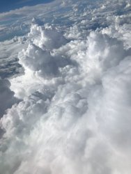 IMG_2672.jpeg