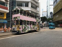 IMG_2898.jpeg