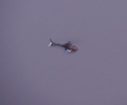 IMG_7814.jpg