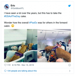 Screen Shot 2019-11-17 at 10.41.56 am.png