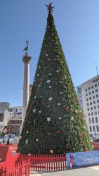IMG_20191121_110809.jpg