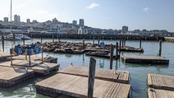 IMG_20191121_123055.jpg