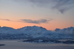 DSC_8963.JPG