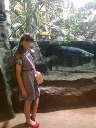 IMG_4132.jpg