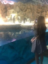 IMG_4181.jpg
