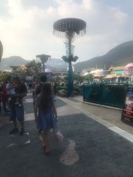 IMG_4252.jpg