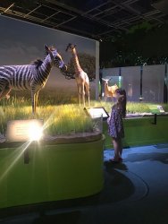 IMG_4779.jpg