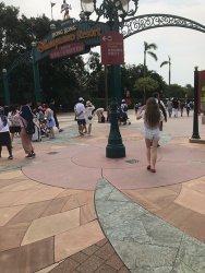 IMG_4486.jpg