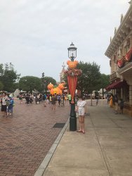 IMG_4679.jpg