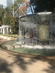 IMG_4845.jpg