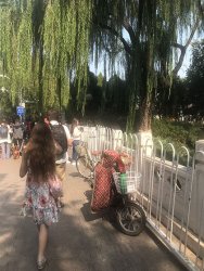 IMG_5198.jpg