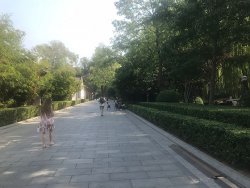 IMG_5216.jpg