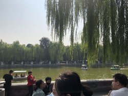 IMG_3152.jpg