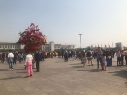 IMG_5328.jpg