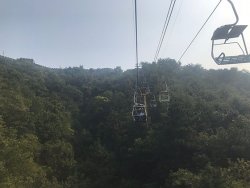 IMG_5400.jpg