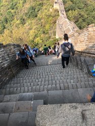 IMG_3182.jpg