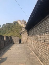 IMG_5484.jpg