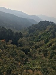 IMG_5560.jpg