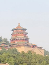 IMG_3211.jpg
