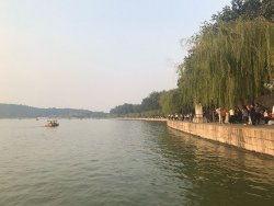 IMG_5624.jpg