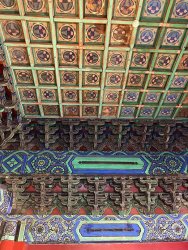 IMG_3232.jpg